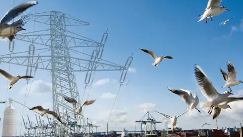 Projekt Referenz Stromnetz